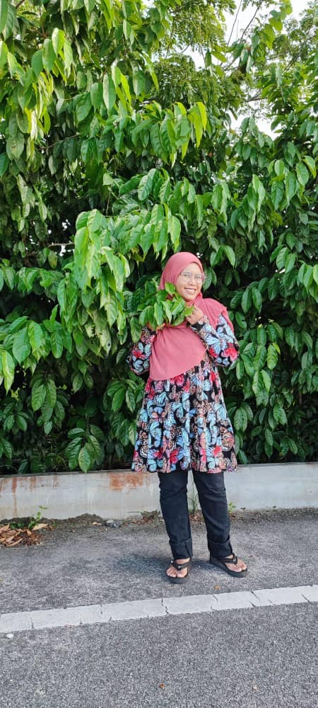 Felicity Tunic/Dress